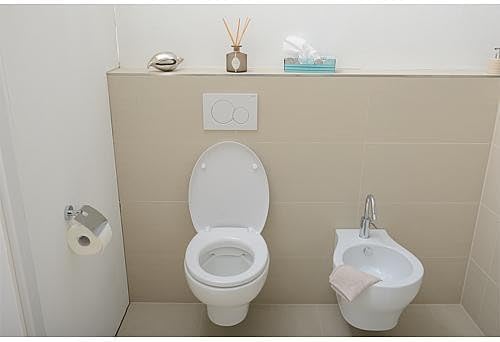 White dual flush actuation plate with two circular buttons on toilet wall
