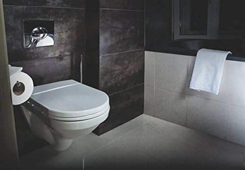 GROHE Skate Air WC wall plate on bathroom wall, chrome oval button cover