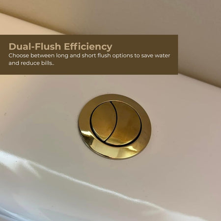Brushed brass dual flush toilet button on white toilet cistern lid