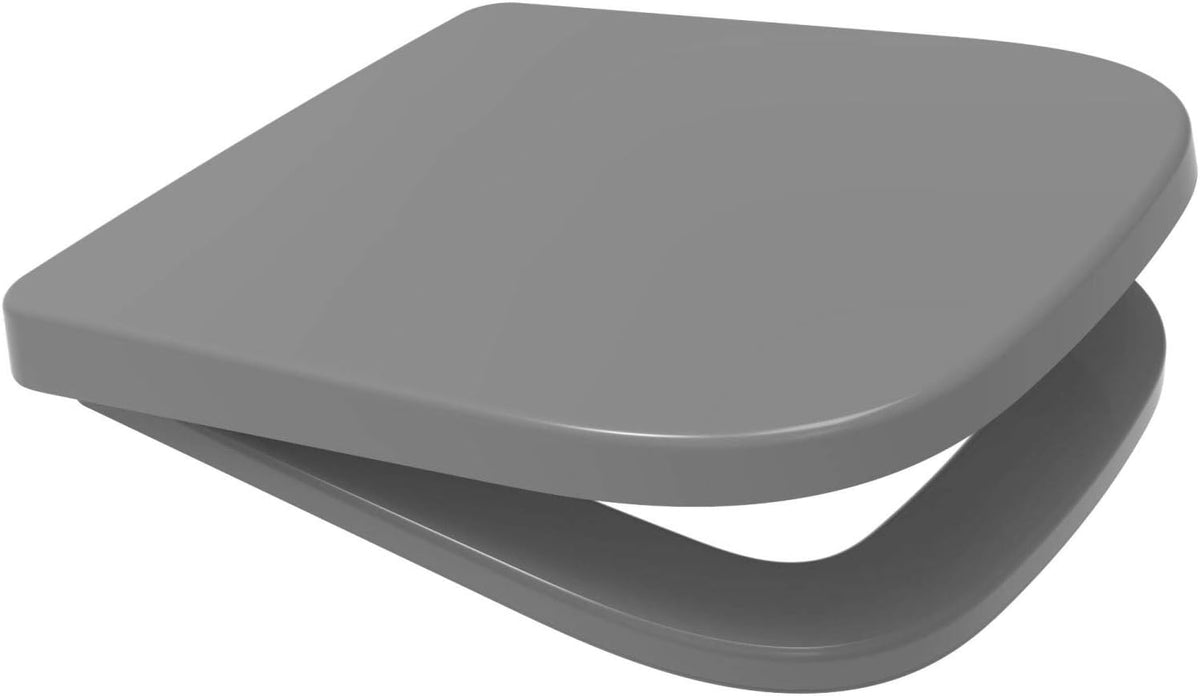 Gray D-shaped soft-close toilet seat with smooth curved lid