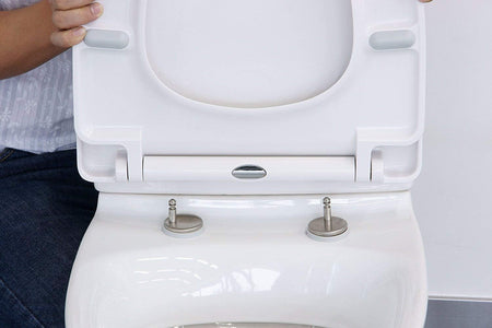 Toilet seat hinge bar and mounting posts beneath the lid