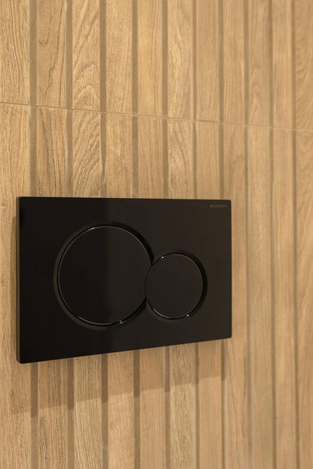 Black dual-button flush plate with two circular push buttons, glossy plastic