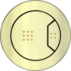 Brushed brass pneumatic toilet flush button face with two push zones and dot indicators