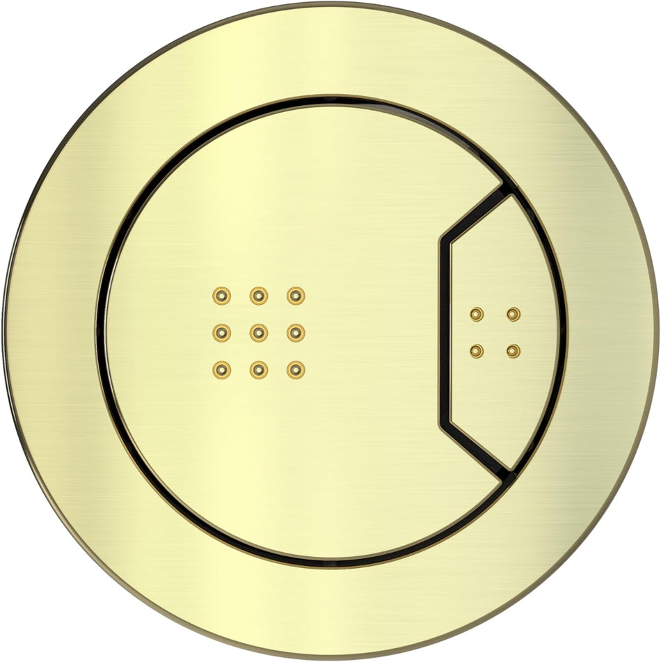 Brushed brass pneumatic toilet flush button face with two push zones and dot indicators