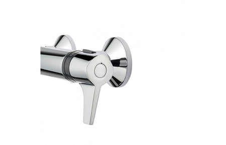 Chrome single-lever shower mixer tap with circular control handle