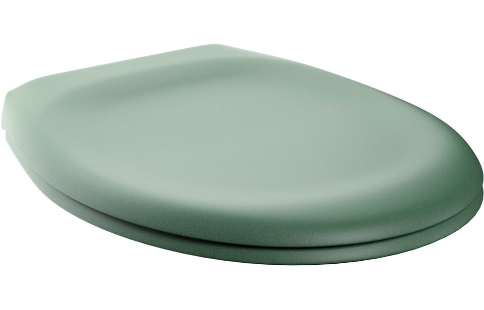 Sage green soft-close toilet seat with rounded lid